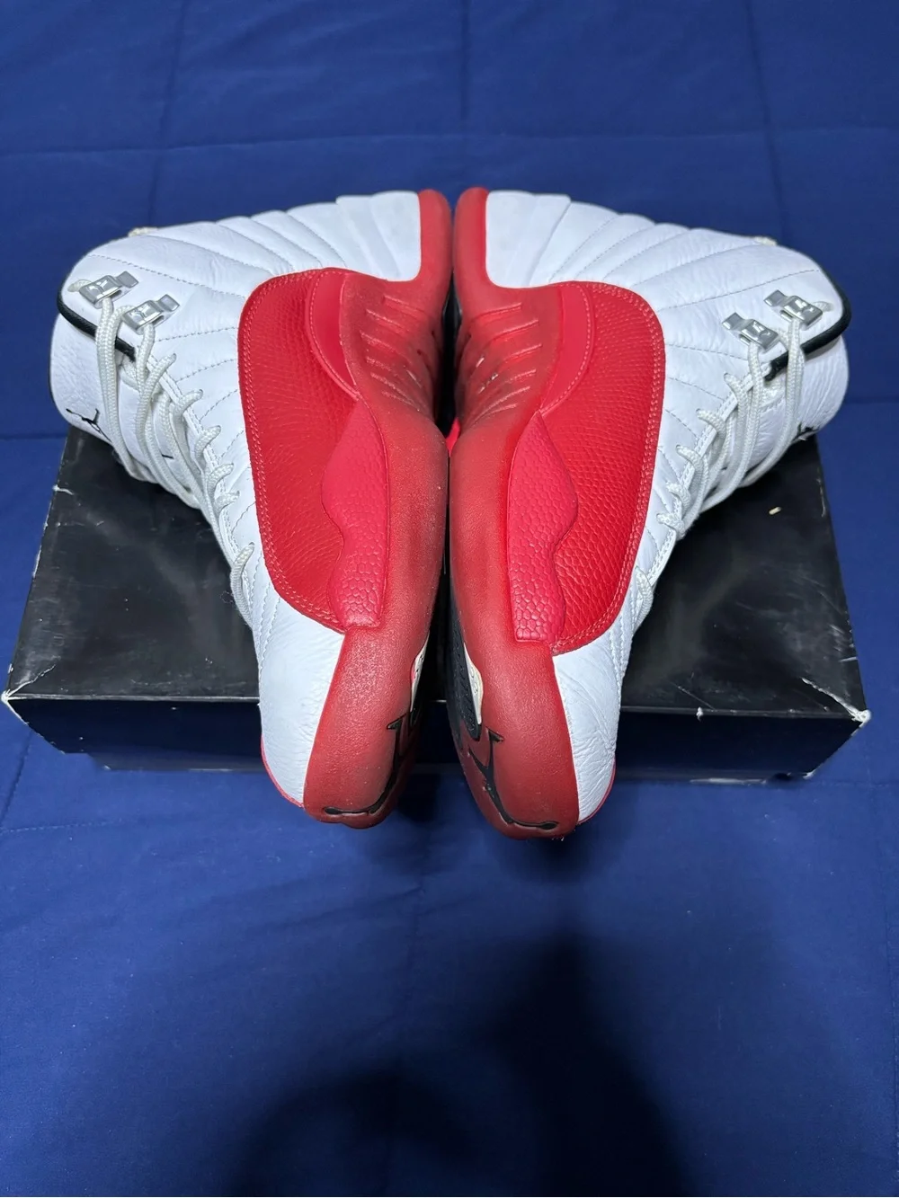 Jordan 12 retro